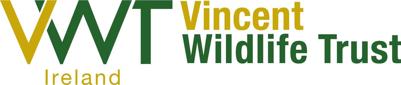 VWT Ireland Logo
